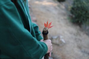 Moses and Experiential Teaching